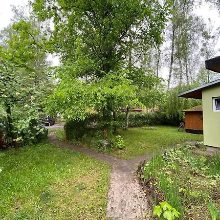 Lesna Ostoja W Centrum Puszczy Nadnoteckiej Otoczona 3 Jeziorami * Miedzychod