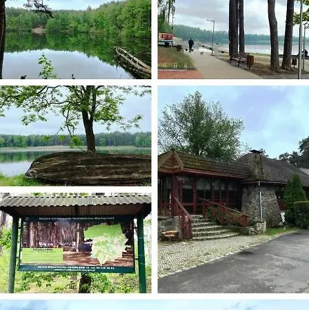 Lesna Ostoja W Centrum Puszczy Nadnoteckiej Otoczona 3 Jeziorami Holiday home Miedzychod
