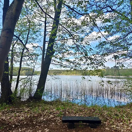 Lesna Ostoja W Centrum Puszczy Nadnoteckiej Otoczona 3 Jeziorami Holiday home *