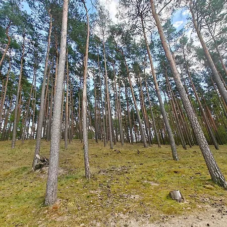 Lesna Ostoja W Centrum Puszczy Nadnoteckiej Otoczona 3 Jeziorami 別荘 Międzychód