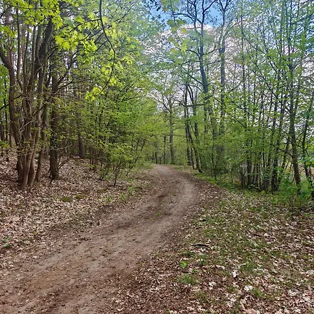 Lesna Ostoja W Centrum Puszczy Nadnoteckiej Otoczona 3 Jeziorami 別荘