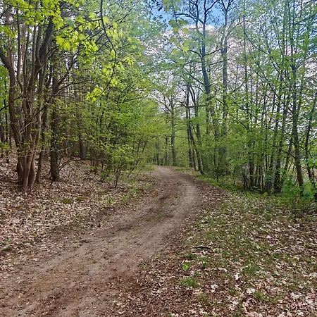 Lesna Ostoja W Centrum Puszczy Nadnoteckiej Otoczona 3 Jeziorami Holiday home