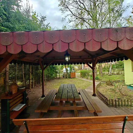 Lesna Ostoja W Centrum Puszczy Nadnoteckiej Otoczona 3 Jeziorami 別荘 Międzychód