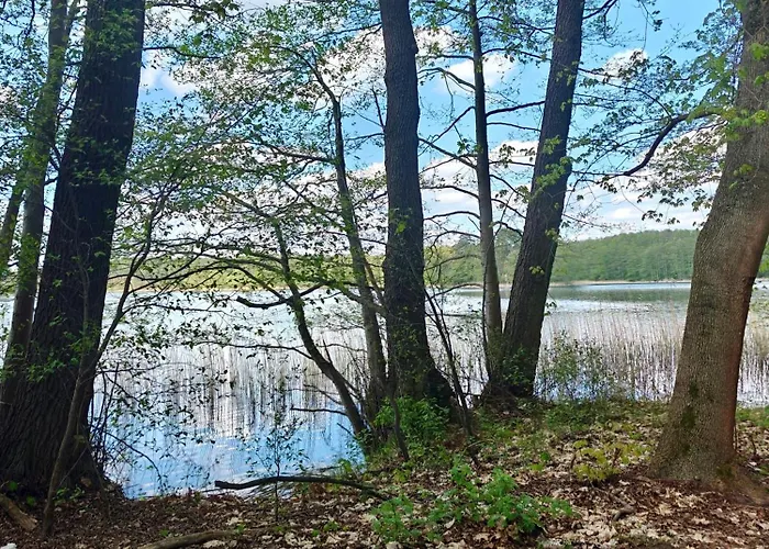 Casa vacanze Lesna Ostoja W Centrum Puszczy Nadnoteckiej Otoczona 3 Jeziorami