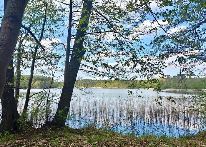 Lesna Ostoja W Centrum Puszczy Nadnoteckiej Otoczona 3 Jeziorami Casa vacanze *