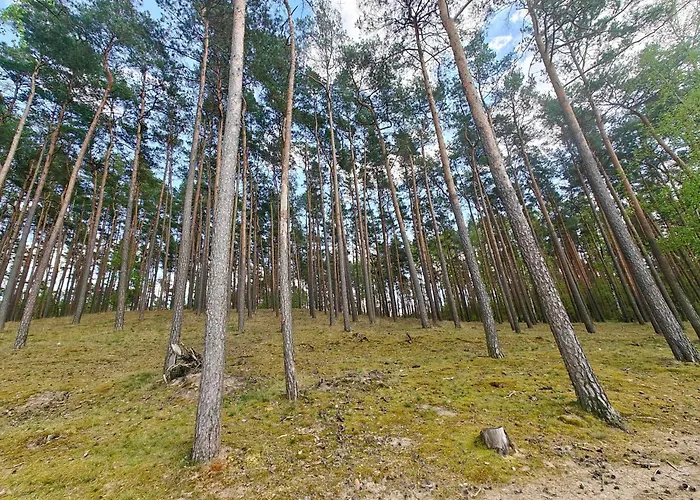 Lesna Ostoja W Centrum Puszczy Nadnoteckiej Otoczona 3 Jeziorami Casa vacanze Miedzychod