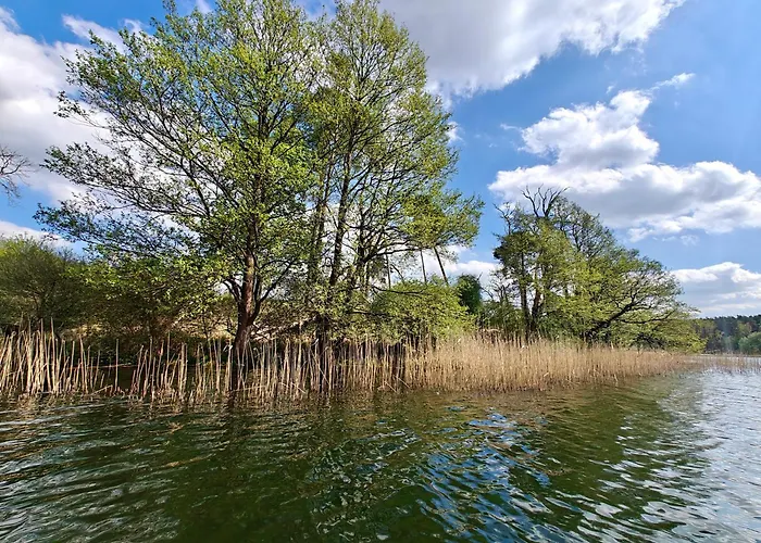 Lesna Ostoja W Centrum Puszczy Nadnoteckiej Otoczona 3 Jeziorami *