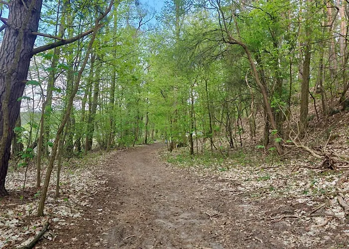Lesna Ostoja W Centrum Puszczy Nadnoteckiej Otoczona 3 Jeziorami * Miedzychod