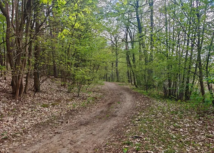 Lesna Ostoja W Centrum Puszczy Nadnoteckiej Otoczona 3 Jeziorami Casa vacanze