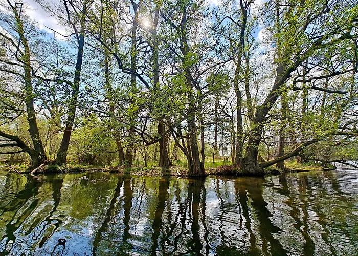Lesna Ostoja W Centrum Puszczy Nadnoteckiej Otoczona 3 Jeziorami *