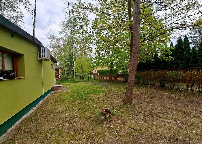 Lesna Ostoja W Centrum Puszczy Nadnoteckiej Otoczona 3 Jeziorami